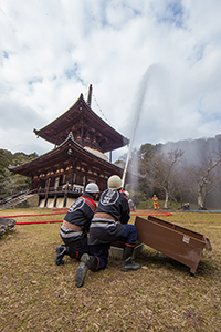 Photo: Negoro-ji Temple (Iwade,Wakayama), January 26, 2016