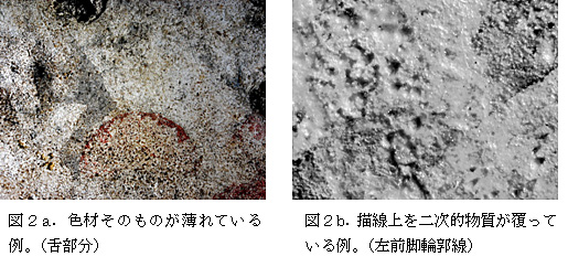 左側写真：図2a．色材そのものが薄れている　例。（舌部分）
右側写真：図2b．描線上を二次的物質が覆っている例。（左前脚輪郭線）