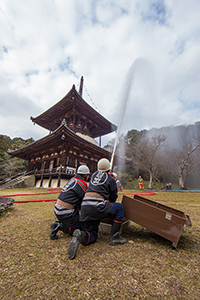 写真:平成28年1月26日 根来寺(和歌山県岩出市) 写真:平成28年1月26日 根来寺(和歌山県岩出市)
