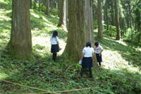 智頭の林業景観（鳥取県八頭郡智頭町）