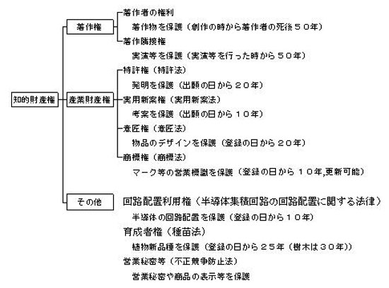 知的財産権について