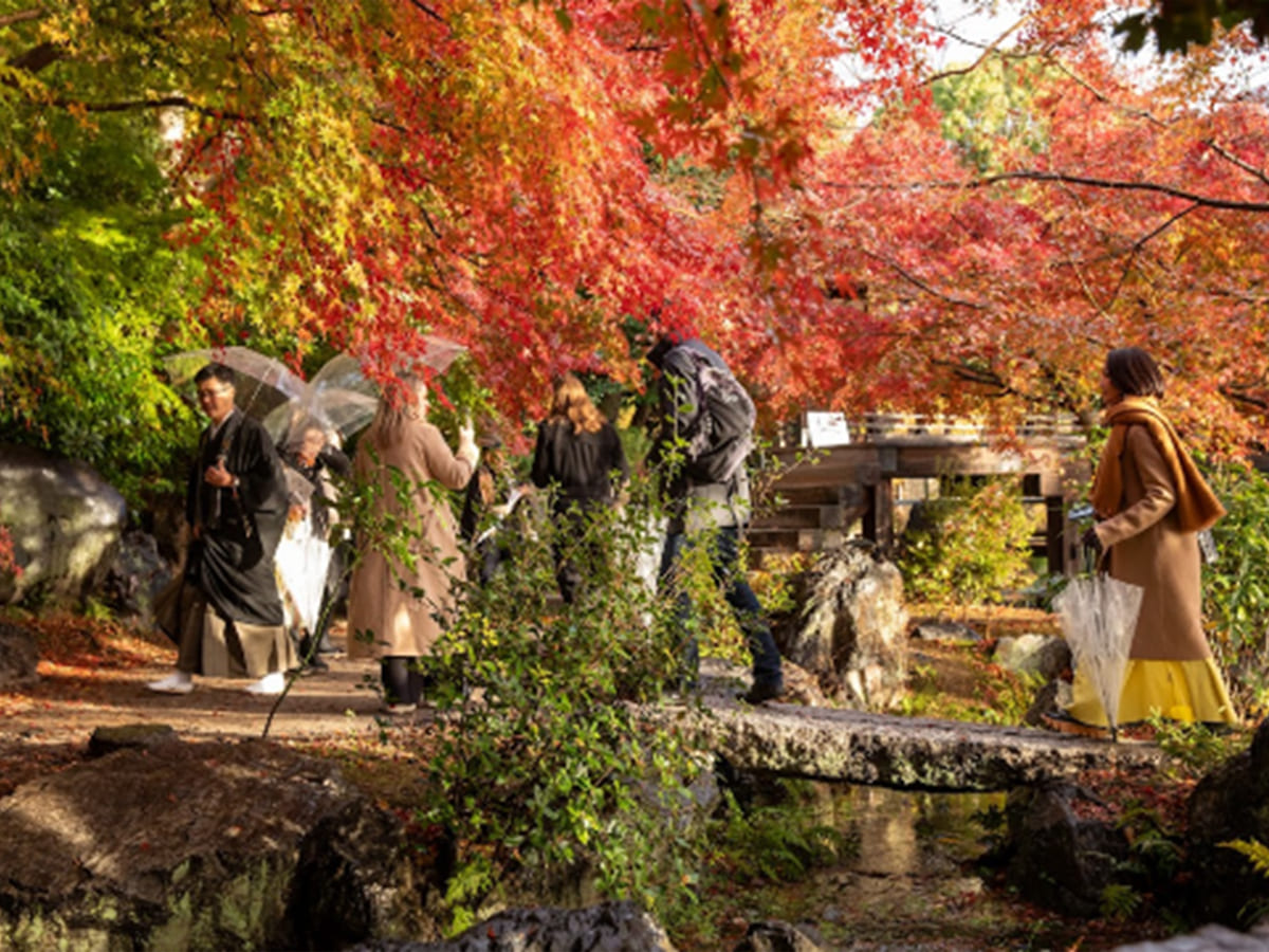 東本願寺での“京都の歴史”と“文化財建築”を堪能する高付加価値コンテンツ造成事業