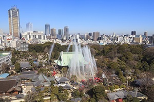 Photo: Daihonzan Gokoku-ji Temple (Bunkyo,Tokyo), January 26, 2016