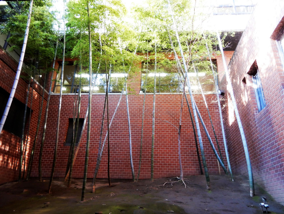 8_前橋市立図書館
