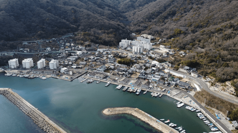 04_北東から集落をみる(空撮)