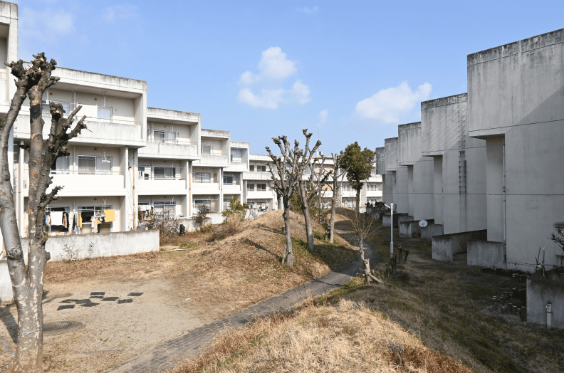 09_緑の広場内の築山と園路