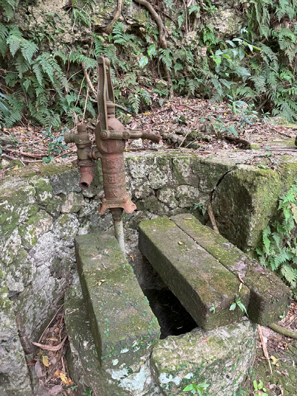 12_玉那覇味噌醤油
