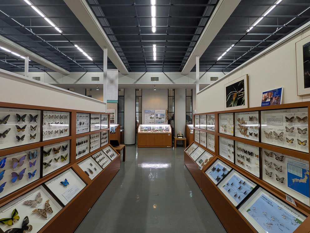 6_琉球大学博物館風樹館