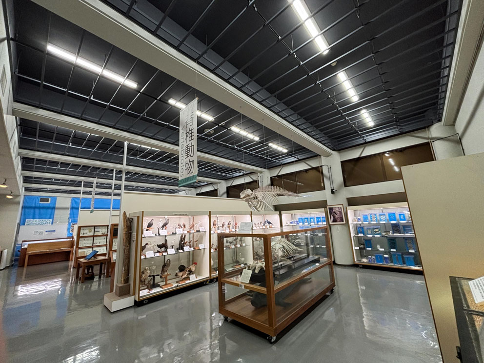 7_琉球大学博物館風樹館