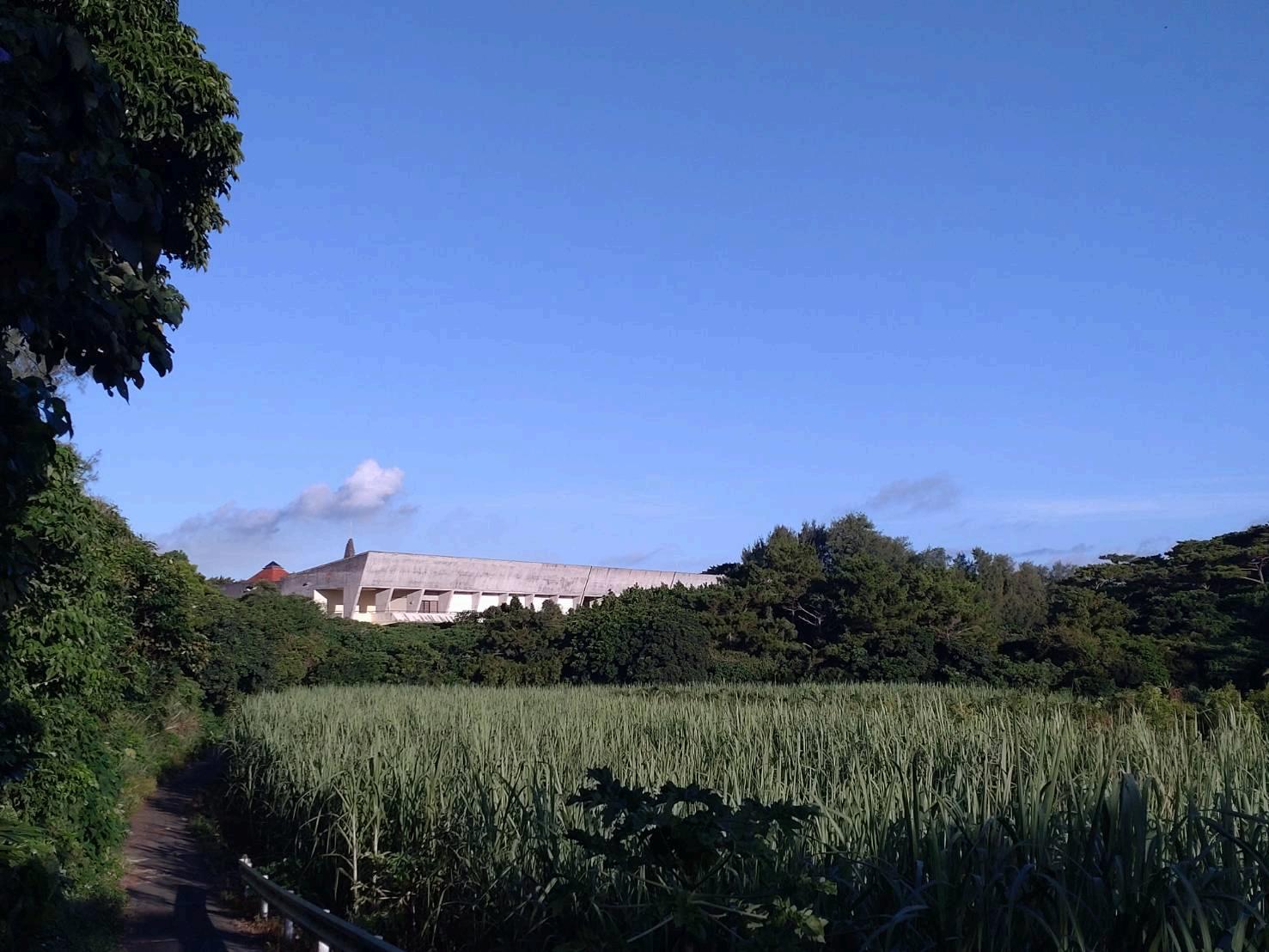 2_宮古島市総合博物館