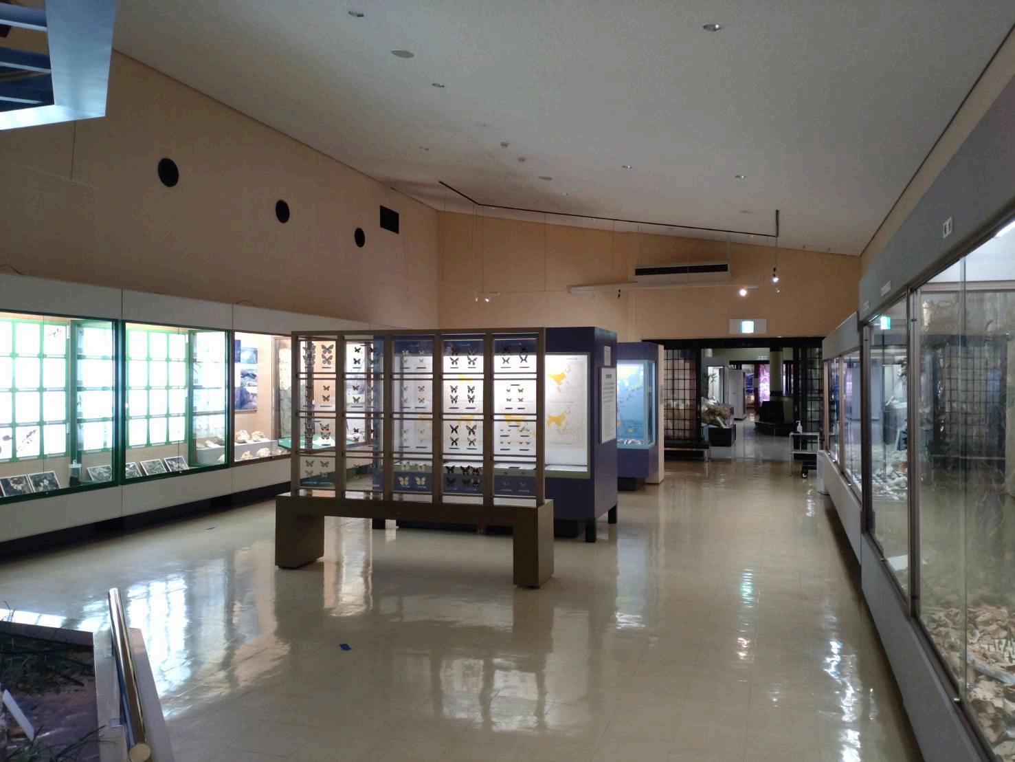 9_宮古島市総合博物館