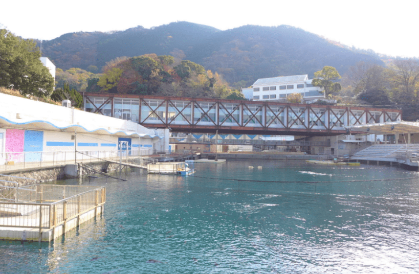 01_外観　左に水族館棟、中央に主棟