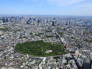 附属自然教育園：全景