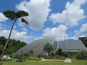 筑波実験植物園：外観