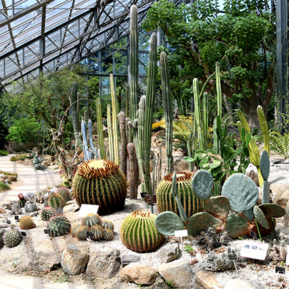 筑波実験植物園：ピックアップ01