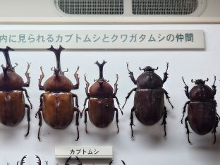 いきいきミュージアム 106