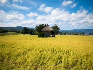 ようこそ劇場へ 140