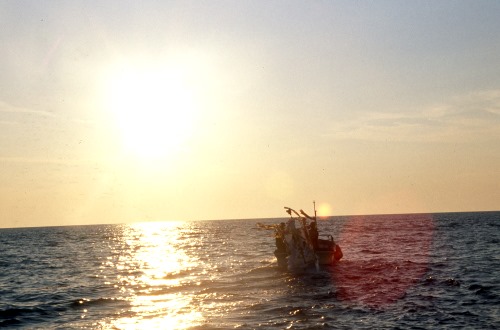 A Shaara Boat heading towards the sunset (Mitabe)