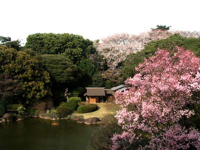 本館北側の庭園