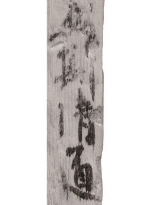 赤外写真(拡大)