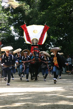 長湫地区の警固祭り