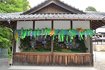 射穂神社の花のとう