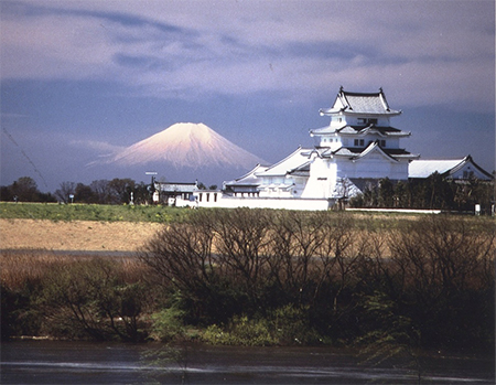 関宿城遠景