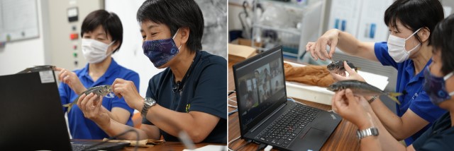 おうちと水族園、それぞれ鮮魚を用意して見せ合いながら進める。
