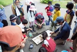 ザリガニがいる・いない池の生き物の比較