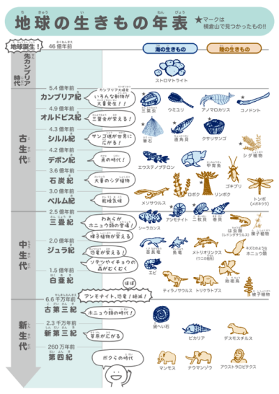 地球の歴史エリアのキッズパネル