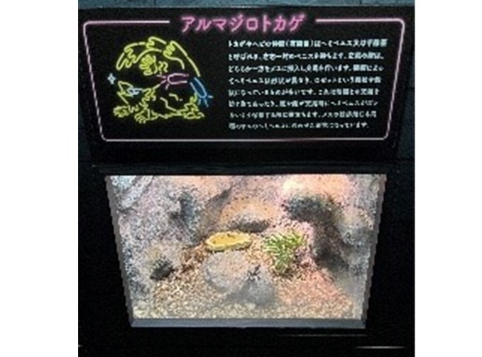 展示生物の解説パネル