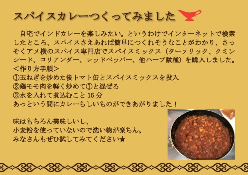 「カレー作ってみました」パネル インド展にて