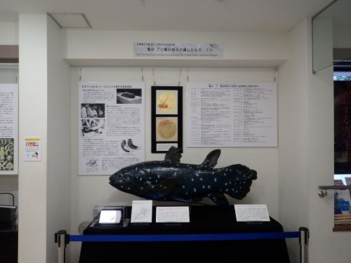 70周年記念特別展「亀谷(かめがい) 了(さとる)と亀谷俊也が遺したもの・こと」より
