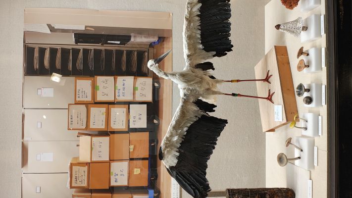企画展での旧県立足利女子高資料の展示の様子