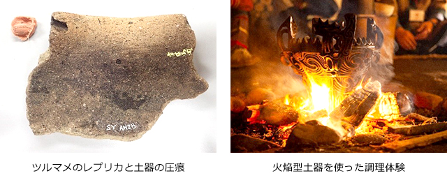 左写真：ツルマメのレプリカと土器の圧痕　右写真：火焔型土器を使った調理体験