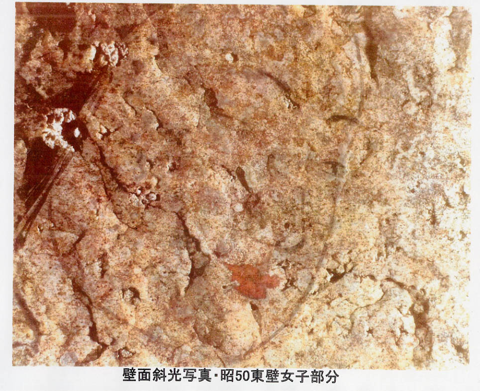 資料