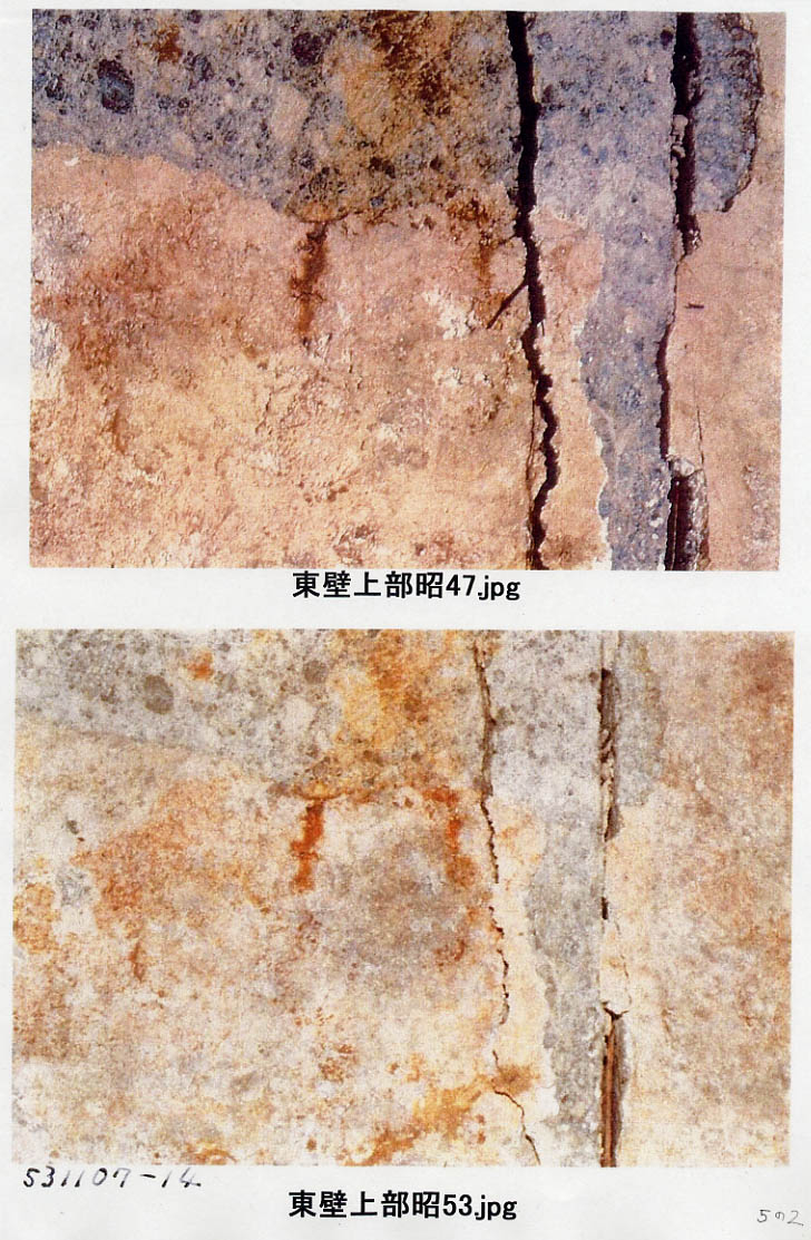 資料