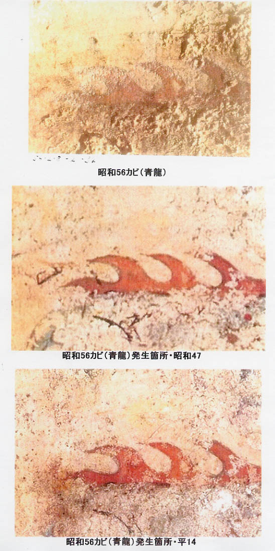 資料