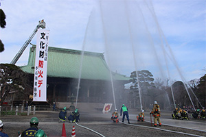 写真：令和2年1月24日　護国寺（東京都文京区）