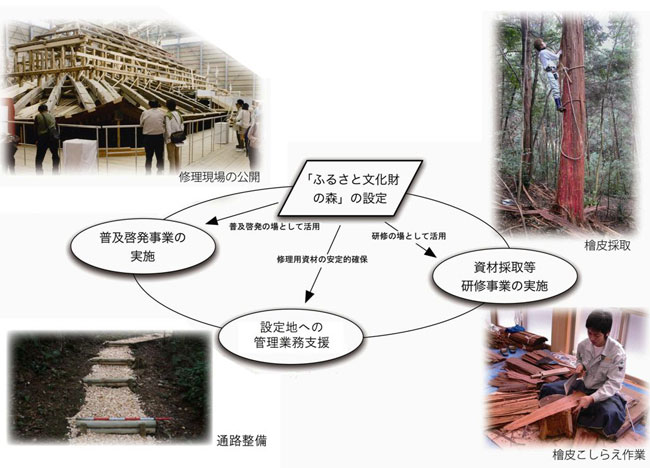 ふる森概念図