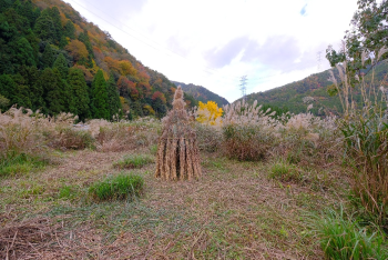 美山かやぶきの里茅場