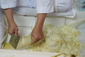 登録無形民俗文化財「敦賀のおぼろ昆布製造技術」画像