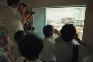 見学通路から壁画，石材を見つめる報道陣。