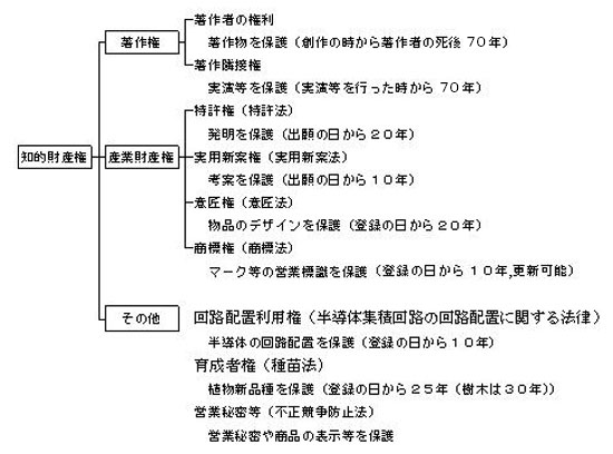 知的財産権について