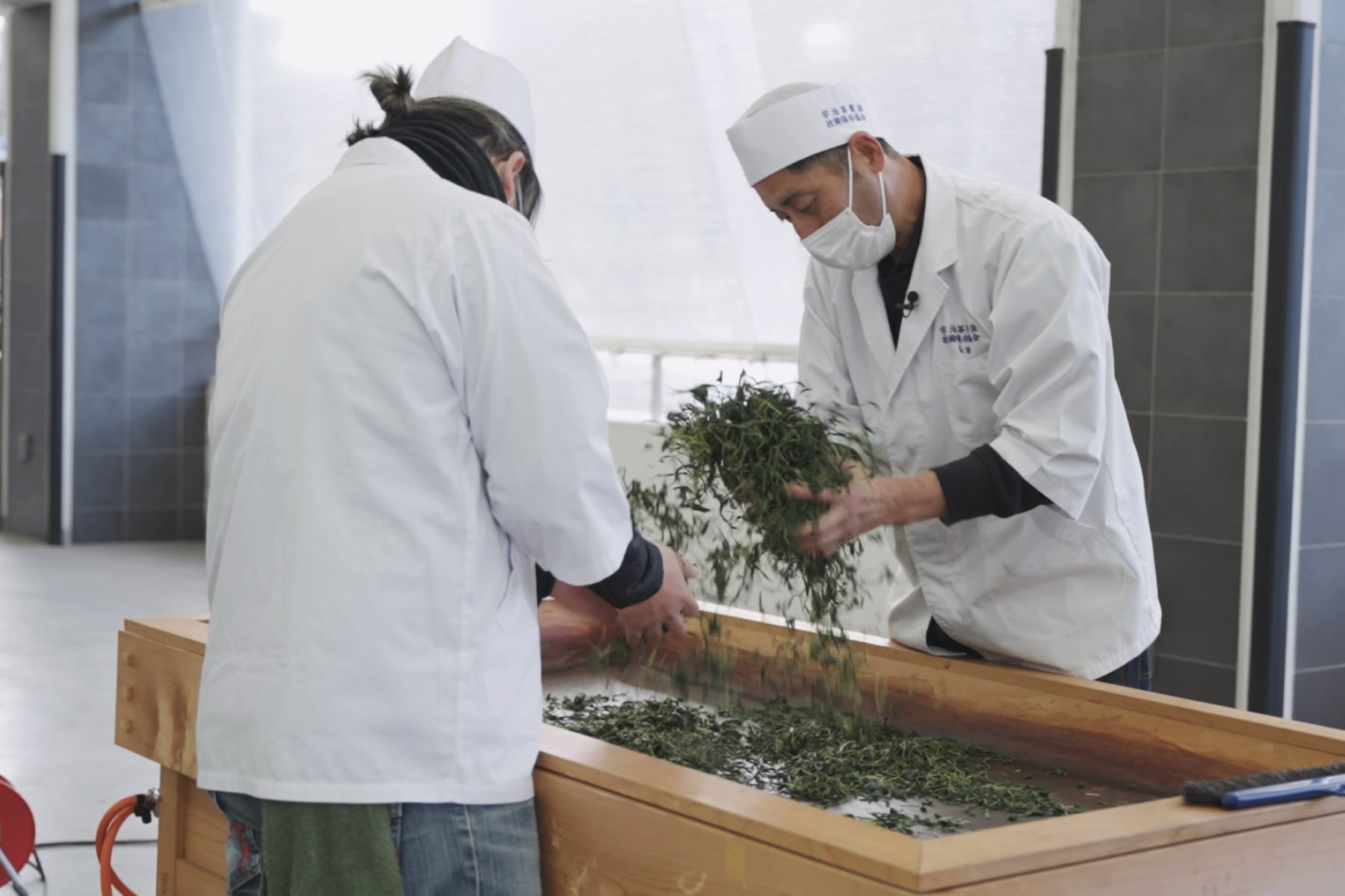 手揉み製茶 編 0