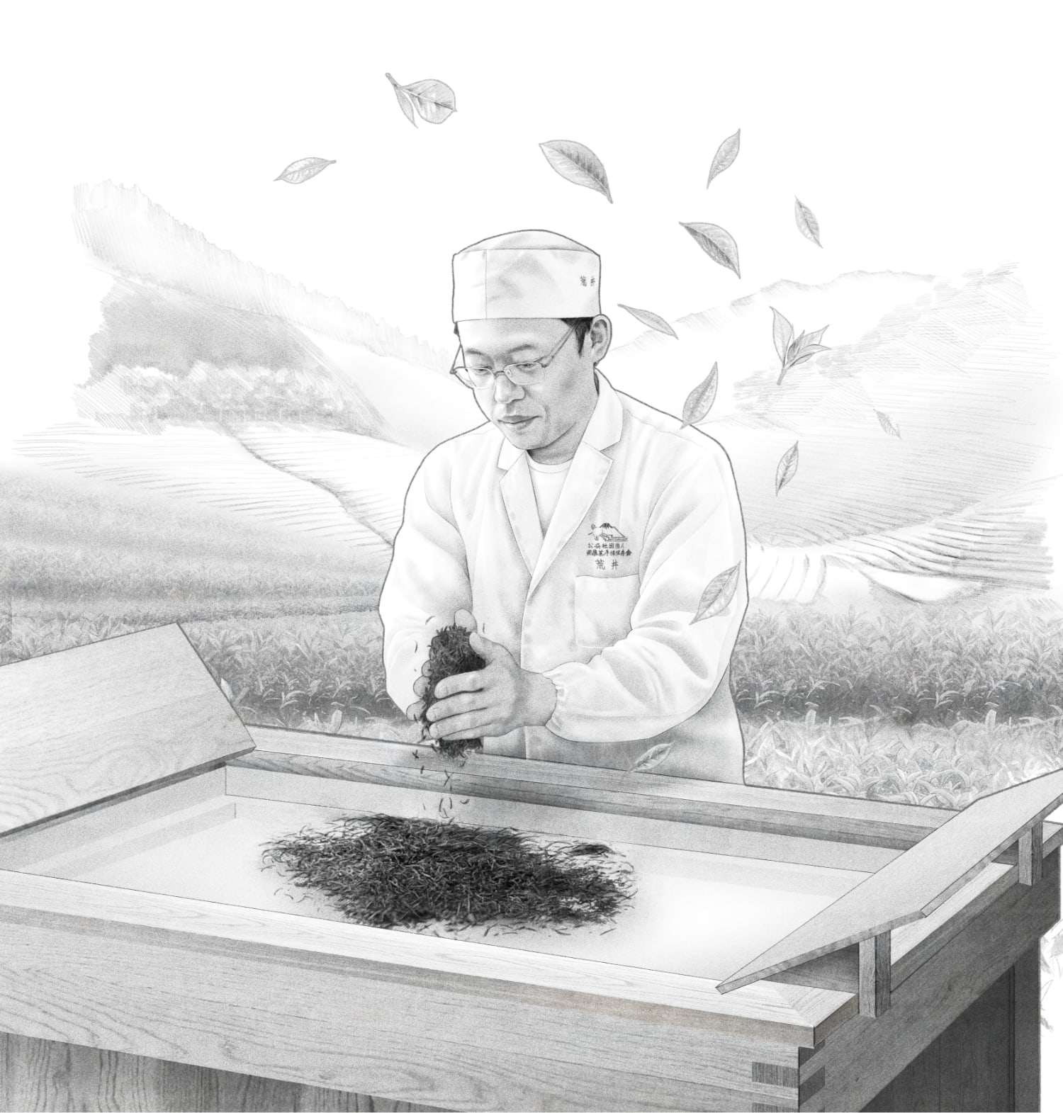 食文化財 手揉み製茶