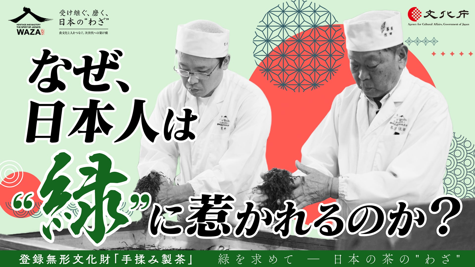 動画放映｜緑を求めて ― 日本の茶の“わざ” ―